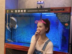 -肆月河豚·新淮扬(金融街店)