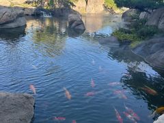 -罗红摄影艺术馆