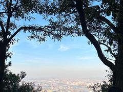 -惠山国家森林公园