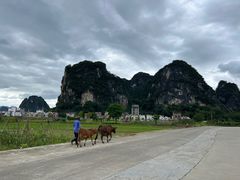 -银峰农庄·特色烧鸡·鲜无花果浸鸡