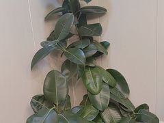 -君霖私家菜(春柳店)