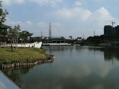 -王借岗森林公园