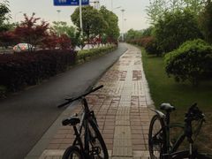 -仙林宾馆-餐厅