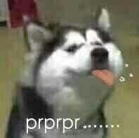 -必胜客(万象城店)