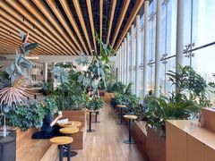 -Seesaw Coffee(朝阳大悦城店)