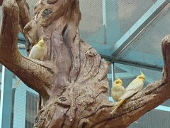 -石家庄市动物园