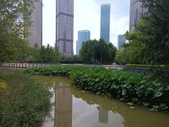 -大望京公园