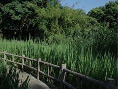 -成都市活水公园