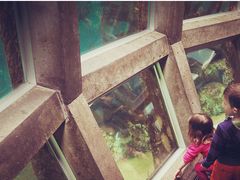 -西雅图水族馆