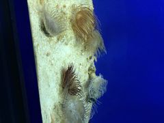 龙门海洋馆-洛阳龙门海洋馆