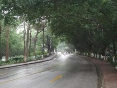 -三水森林公园