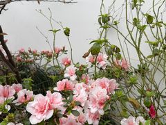 -乌山风景区