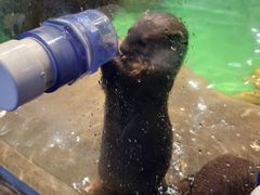 -长春中泰海洋世界
