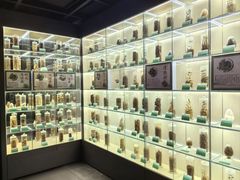 -广东中医药博物馆