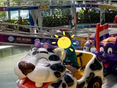 -南宫五洲植物乐园