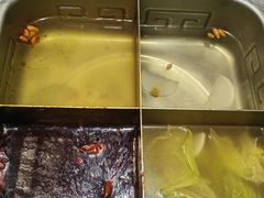 -海底捞火锅(高科广场店)