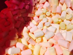 -青岛富力艾美酒店