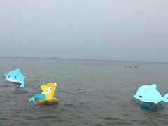 -海滨浴场