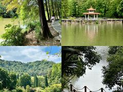 -深圳市中科院仙湖植物园