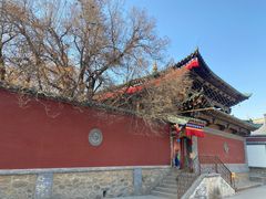 -塔尔寺游客服务中心