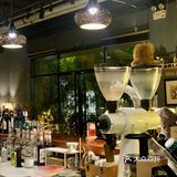 广州探店｜来一场森林风猫咖的约会吧