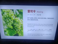 -青岛葡萄酒博物馆