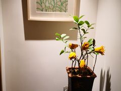 -梅间堂茶馆(绿地缤纷城店)