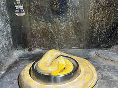 -沈阳森林动物园
