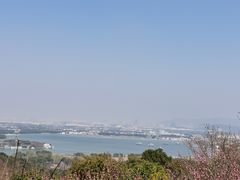 -香雪海