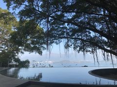 -大埔公路-马料水段香港中文大学(公交站)