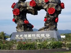 -亚龙湾国际玫瑰谷