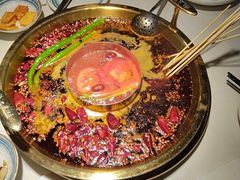 -二荆条·城市森林火锅旗舰店