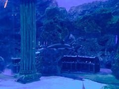 -芜湖新华联大白鲸海洋公园