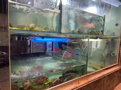 -凤城礼记鱼翅海鲜酒家(新马路总店)