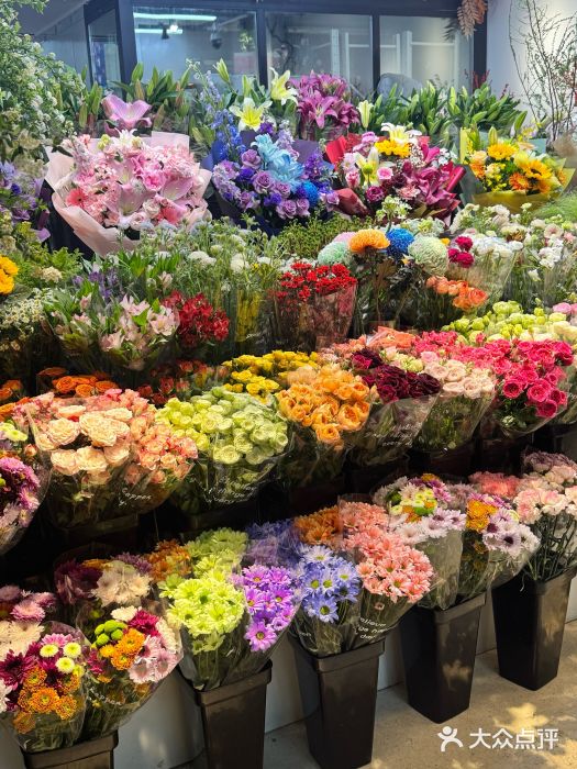 长春青怡坊鲜花批发(青怡坊花鸟市场店)图片