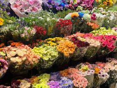 -长春青怡坊鲜花批发(青怡坊花鸟市场店)