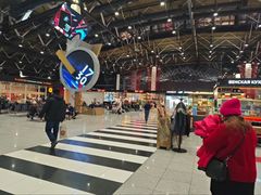 -谢列梅捷沃国际机场