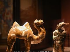 -大同市博物馆