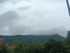 坐在窗边看着梧桐山风景-佳瑜肠粉(总店)