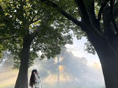-尼亚加拉瀑布州立公园