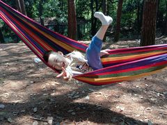 -铁山坪森林公园