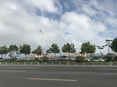 -星光岛