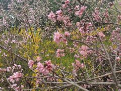 -自黑豆夫·臭豆腐夹馍(四海唐人街店)