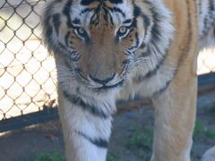 -大连森林动物园