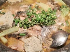 -探鱼·鲜青椒爽麻烤鱼(广州花都来又来店)