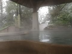 -天目湖涵田半山温泉