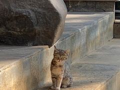 -昆明柏联SPA温泉