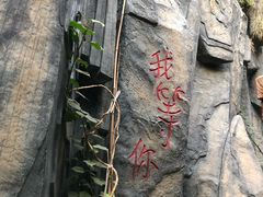 -呀路古热带植物园