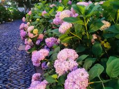 -常州古运河南大街文化旅游区-人民公园