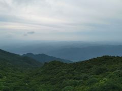 -大围山国家森林公园